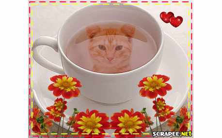 Moldura - Foto Na Xicara De Cafe