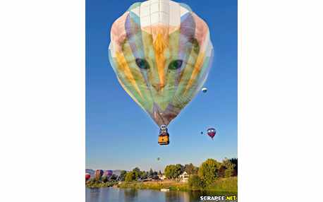 Moldura - Foto No Balao