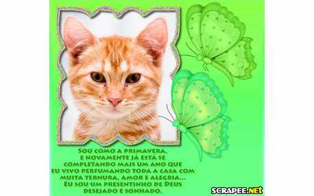 Moldura - Lembrancinha De Aniversario