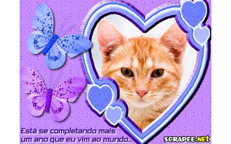 Moldura - Lembranca De Aniversario