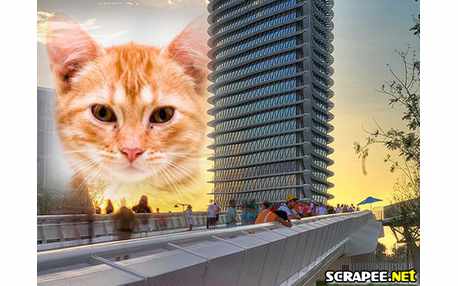 Moldura - Montagem No Centro