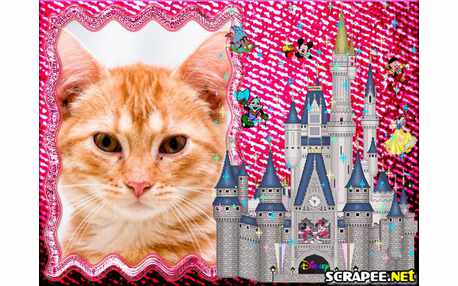 Moldura - Castelo Da Disney