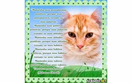 Moldura - Mensagem Positiva