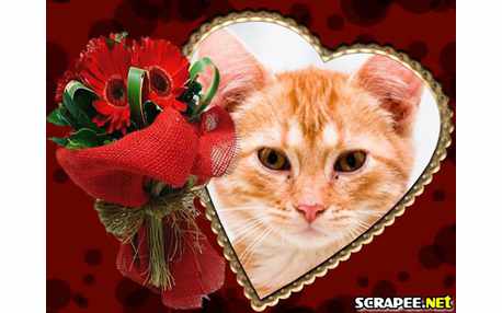 Moldura - Coracao Para Por Foto