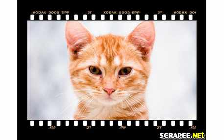 Moldura - Filme Fotografico