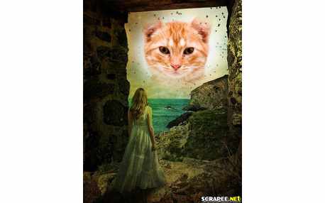 Moldura - Foto No Ceu