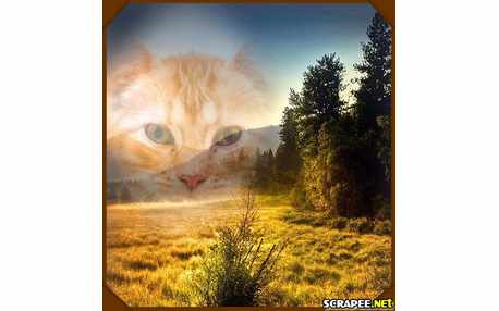 Moldura - Nascer Do Sol