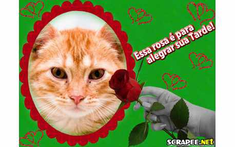 Moldura - Tarde Alegre