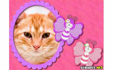 Moldura - Borboletas