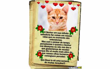 Moldura - Semana De Bencaos