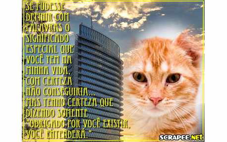 Moldura - Obrigado Por Existir