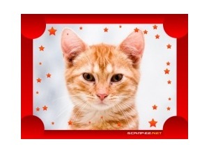 Moldura - Moldura Vermelha