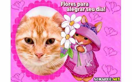 Moldura - Dia Alegre