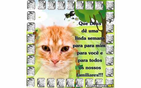 Moldura - Mensagem Da Semana