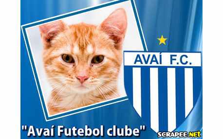 Moldura - Avai Futebol Clube
