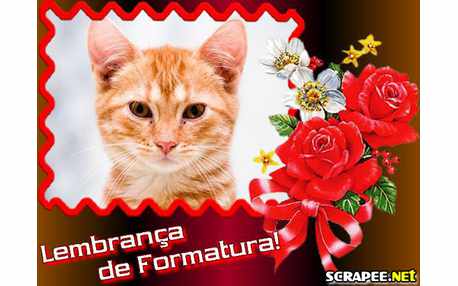 Moldura - Moldura De Formatura