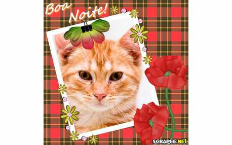 Moldura - Moldura Xadres