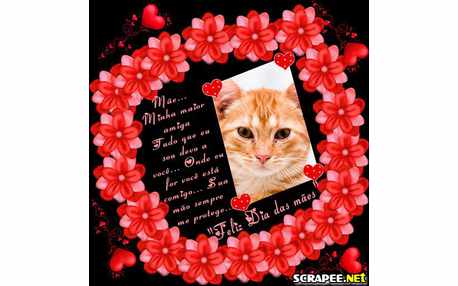 Moldura - Mensagem Do Dia Das Maes