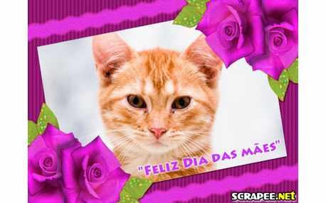 Moldura - Moldura Para Mae