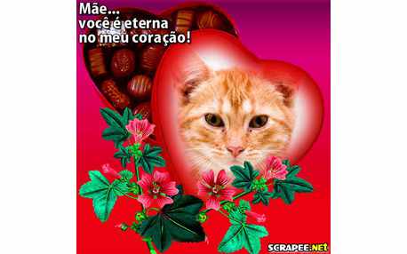 Moldura - Coracao De Mae