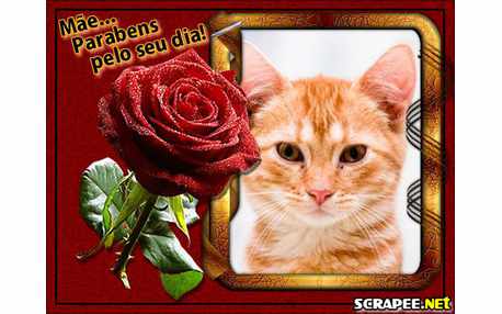 Moldura - Parabens Para As Maes