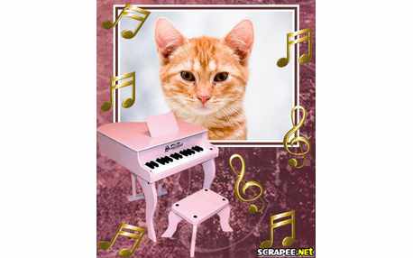 Moldura - Piano Rosa