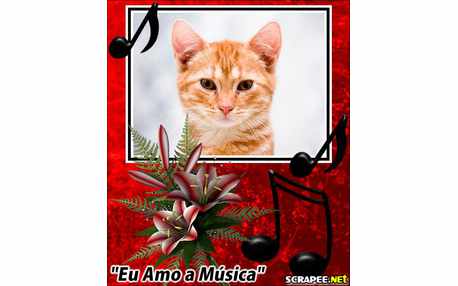 Moldura - Amor Pela Musica