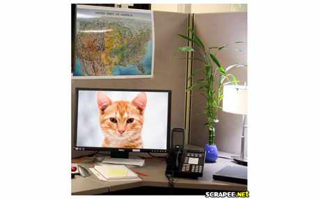 Moldura - Um Escritorio