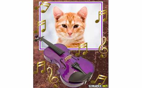 Moldura - Violino Colorido