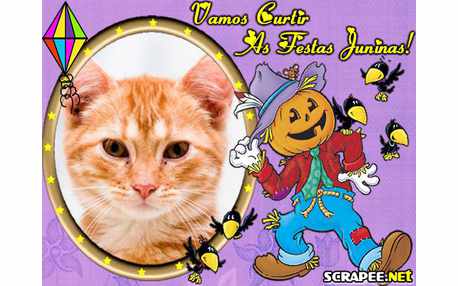 Moldura - Festas De Junho