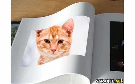 Moldura - Fotomontagens