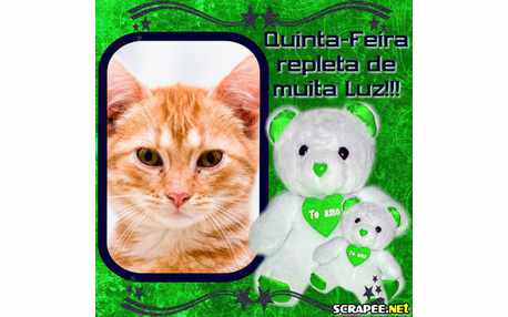 Moldura - Ursinho Verde