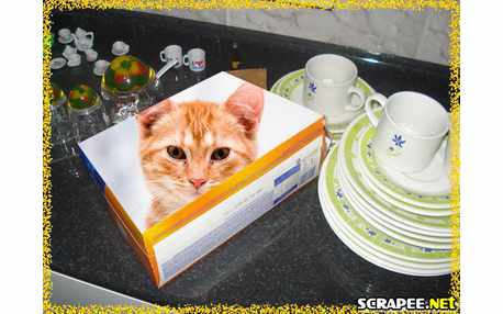 Moldura - Foto  Na Embalagem