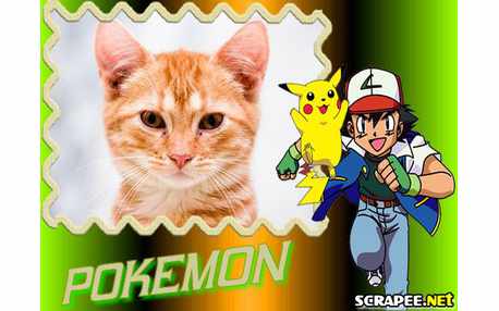 Moldura - Pokemon