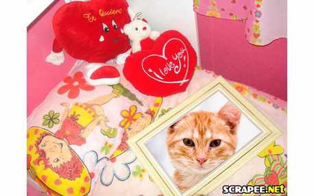 Moldura - Quadro De Parede