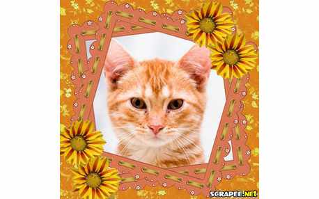 Moldura - Borda De Flor