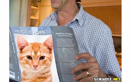 Moldura - Montagem De Foto