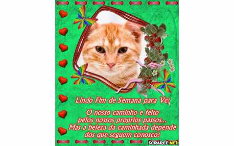 Moldura - Montagem Para Fim De Semana