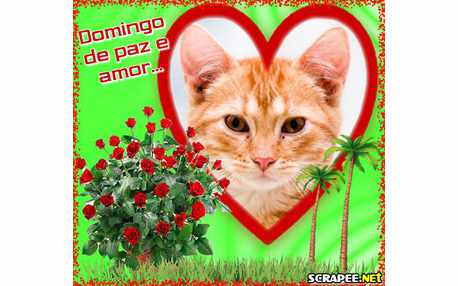 Moldura - Moldura Para Domingo