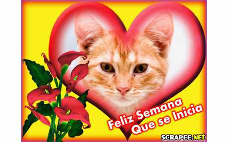 Moldura - Semana Que Se Inicia