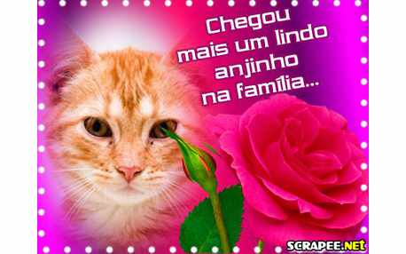 Moldura - Nascimento De Menina