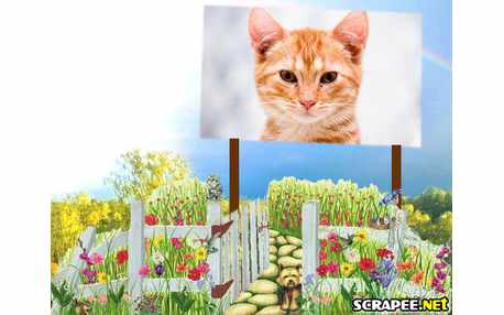 Moldura - Outdoor No Campo