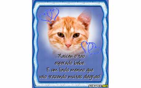 Moldura - Nascimento De Menino