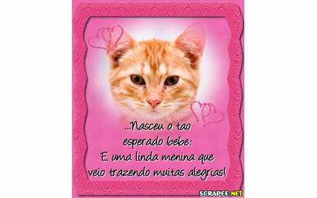 Moldura - Nascimento De Menina