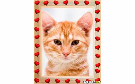 Moldura - Borda De Coracaozinho