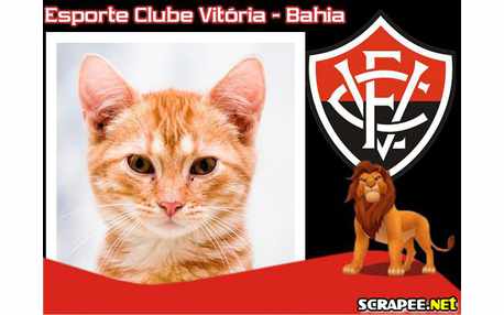 Moldura - Futebol Clube Vitoria