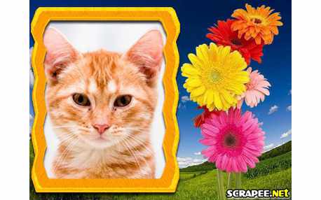 Moldura - Flor Do Campo