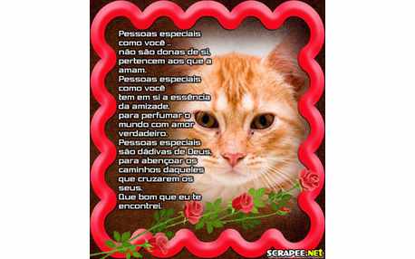 Moldura - Mensagem Especial