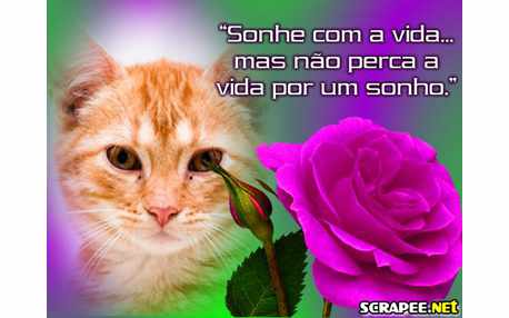 Moldura - Sonhe Com A Vida