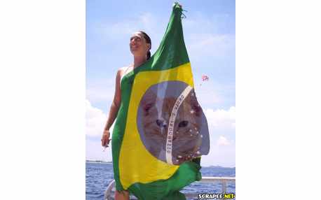 Moldura - Bandeira Do Brasil